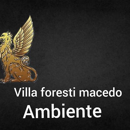 Ambiente Foresti Macedo Gramado Ngoại thất bức ảnh